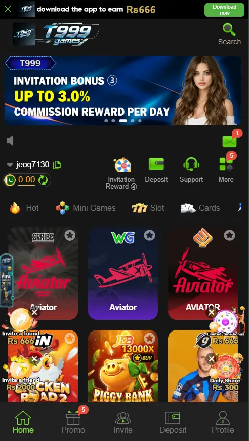 T999 Interface